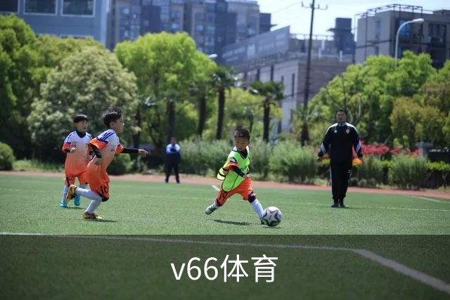 v66体育公司简介